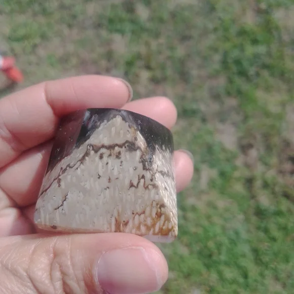 Palmroot pyramid - Picture 4 of 4